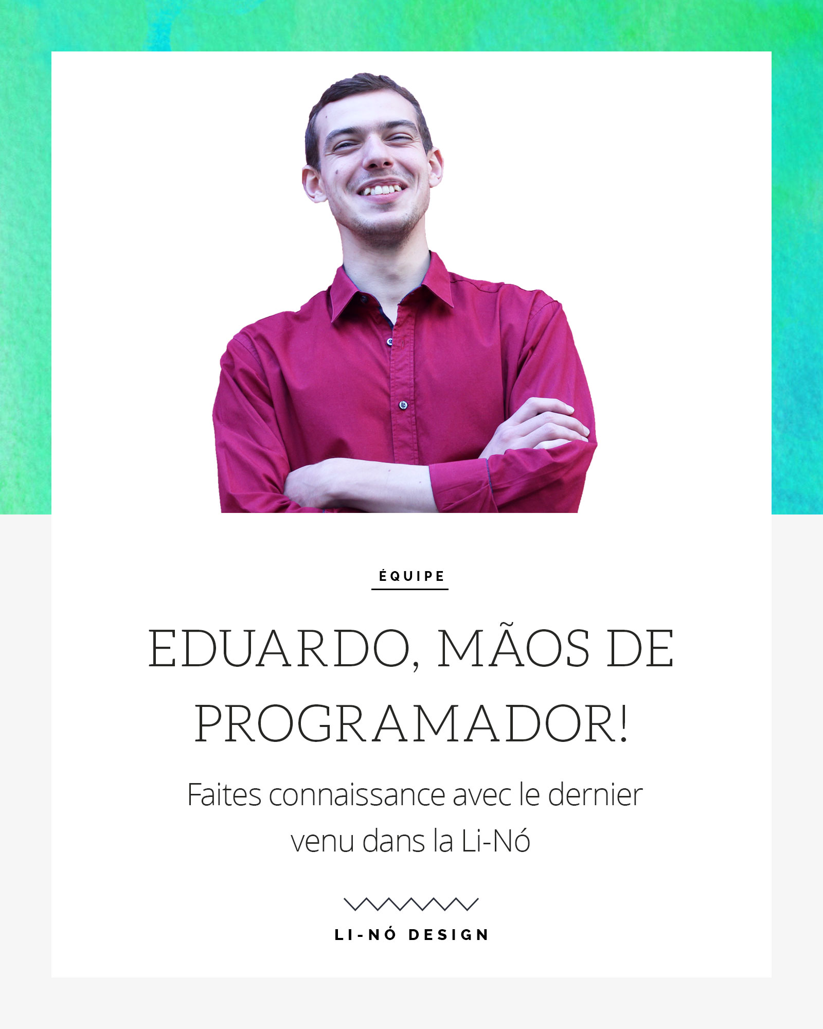 programador