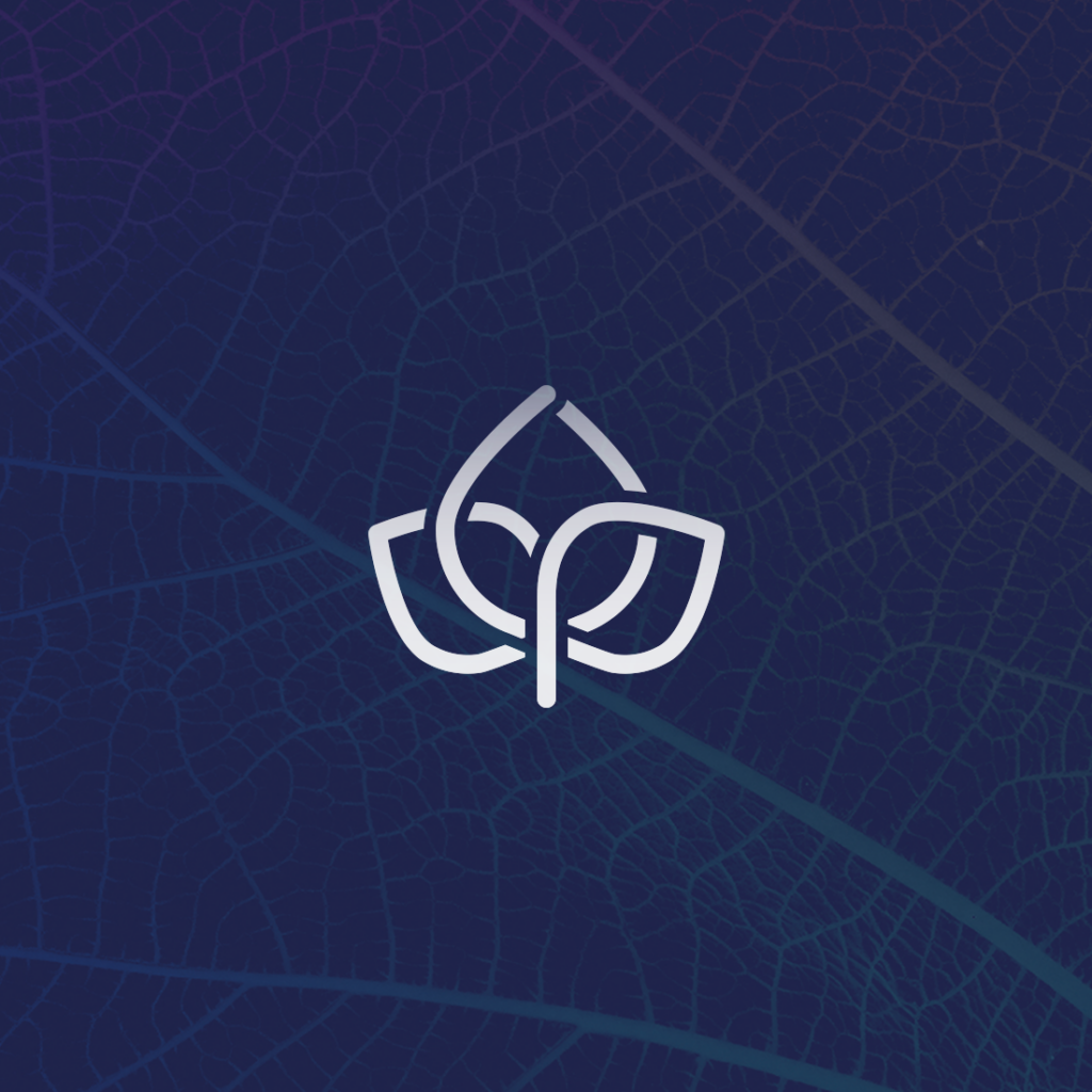 Studio de design graphique - Création Logo - branding pour une société de consulting - Li-Nó